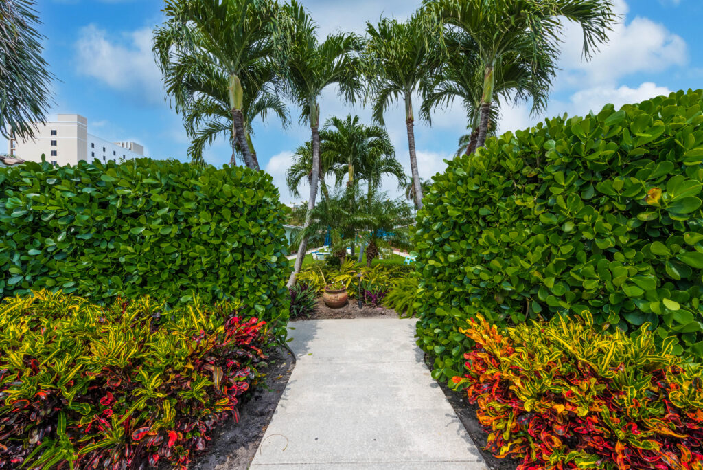 Tropical garden pathway at The Grove Beach Condo Delray Beach